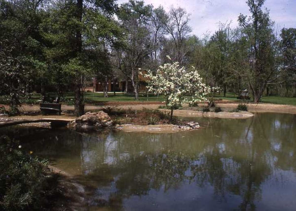 lake looking north 65