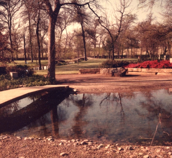 garden in 1962